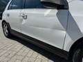 Volkswagen Golf Highline 1,2 TSI Weiß - thumbnail 12