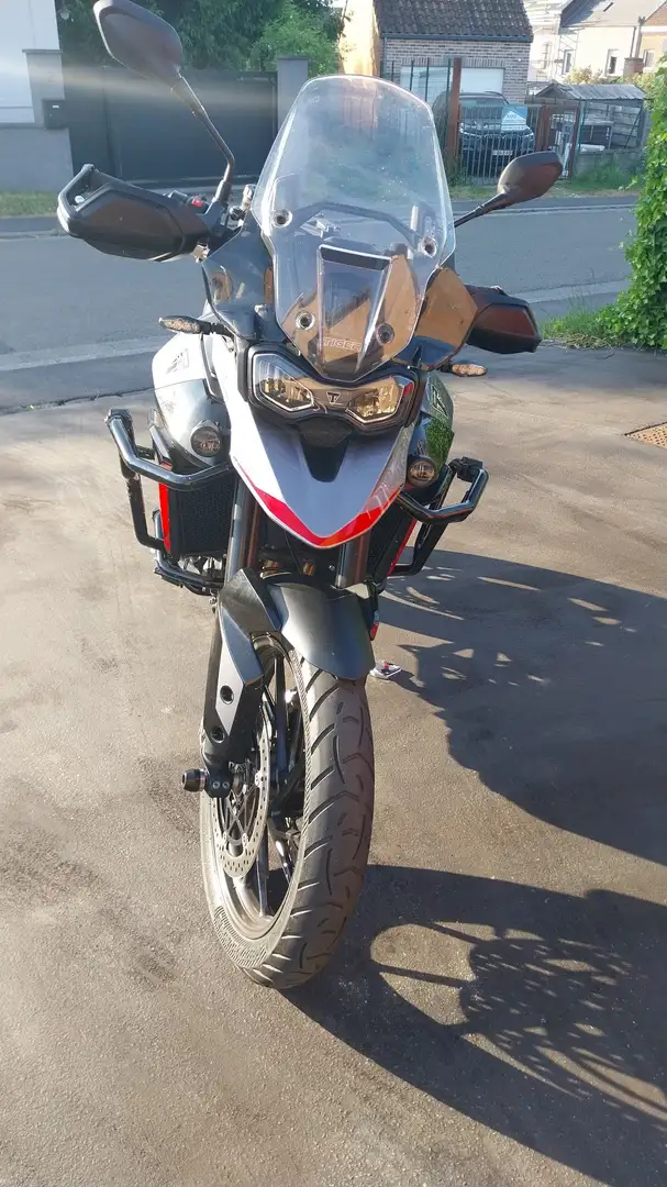 Triumph Tiger 900 tiger 900 gt pro Gri - 1