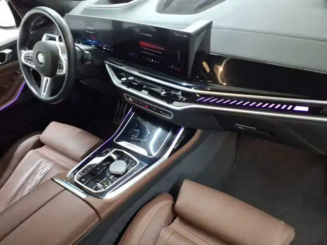 BMW X7 view 9