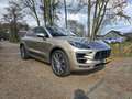 Porsche Macan 2.0.   Nette VOLLE Wagen !! Grijs - thumbnail 1