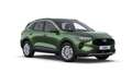 Ford Kuga Titanium 1.5T EcoBoost 110kW (150CV) Verde - thumbnail 10