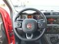 Fiat Panda 4x2 FireFly Hybrid 70 City Life Rot - thumbnail 12