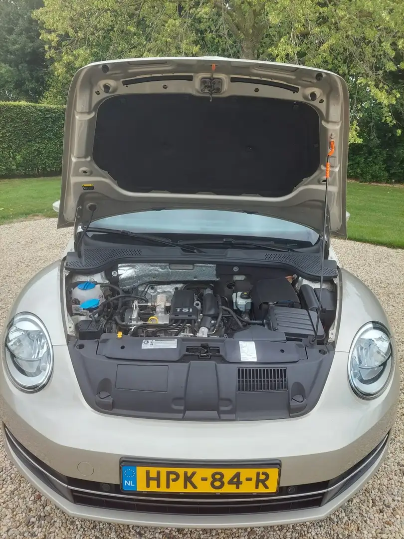 Volkswagen Beetle Beetle 1.2 TSI Design BlueM Bruin - 2