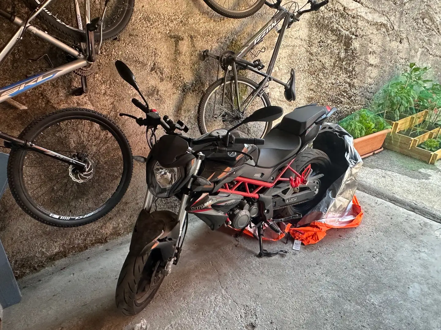 Benelli BN 125 - 1
