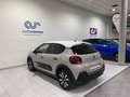 Citroen C3 PureTech 60KW (83CV) Shine 83 CV Beige - thumbnail 21