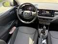 Skoda Fabia 1.0 TSI Limited Cycling Edition - thumbnail 9