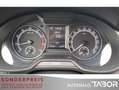 Skoda Octavia Combi 1.4 TSI DSG Navi LED AHK Kamera Grau - thumbnail 6
