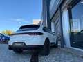 Porsche Macan Aut. Blanco - thumbnail 7
