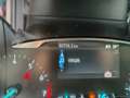 Ford Puma 1.0 Hybrid 125CV S&S TITANIUM NO VINCOLI Grigio - thumbnail 14