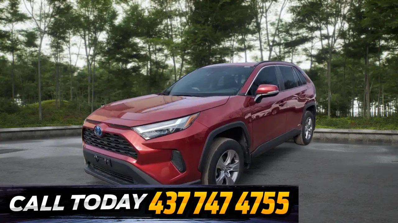 2024 Toyota RAV 4
