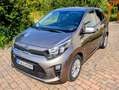 Kia Picanto Picanto 1.0 ISG Dream-Team Edition Grau - thumbnail 1