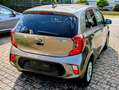 Kia Picanto Picanto 1.0 ISG Dream-Team Edition Grau - thumbnail 2