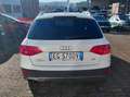 Audi A4 Audi A4 allroad 2.0 TDI F.AP. Advanced Weiß - thumbnail 4