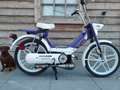 Honda Camino 70cc wheely monster 140km/h 11pk Violett - thumbnail 1