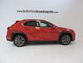 Lexus UX 250h 4x4 F Sport Rojo - thumbnail 7