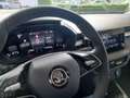 Skoda Fabia Fabia 1.0 mpi evo Young Edition 80cv Bianco - thumbnail 5