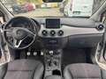 Mercedes-Benz B 200 CDI CAMBIO MANUALE Grigio - thumbnail 11