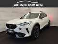 CUPRA Formentor 1,5 TSI ACT Cupra Weiß - thumbnail 2