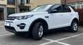 Land Rover Discovery Sport Discovery Sport I 2015 2.0 td4 HSE awd 150cv auto Bianco - thumbnail 1