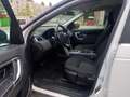 Land Rover Discovery Sport Discovery Sport I 2015 2.0 td4 HSE awd 150cv auto Bianco - thumbnail 5