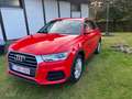 Audi Q3 Q3 2.0 TDi Rouge - thumbnail 4