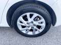 Toyota Auris Auris 1.8 Hybrid 99CV Automatica Neo - 2016 Bianco - thumbnail 12