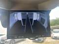 Fiat Ducato FIAT DUCATO 180 CV 5 POSTI HARAS CAMBIO AUTOMATIC Verde - thumbnail 15