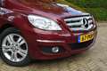 Mercedes-Benz B 160 BlueEFFICIENCY Business Class Червоний - thumbnail 9