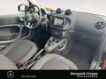 smart forTwo fortwo passion Automatik NAVI*PANORAMA*SHZ*LED* Rot - thumbnail 15