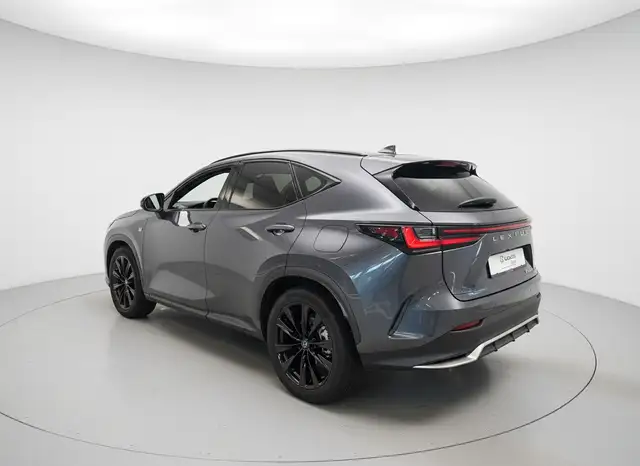Lexus NX view 4