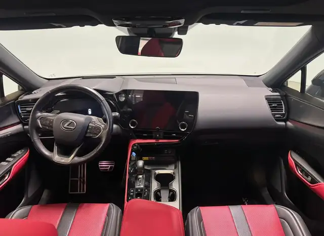 Lexus NX view 5