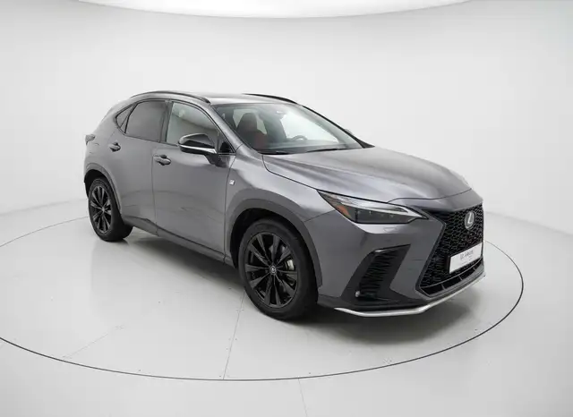 Lexus NX view 3