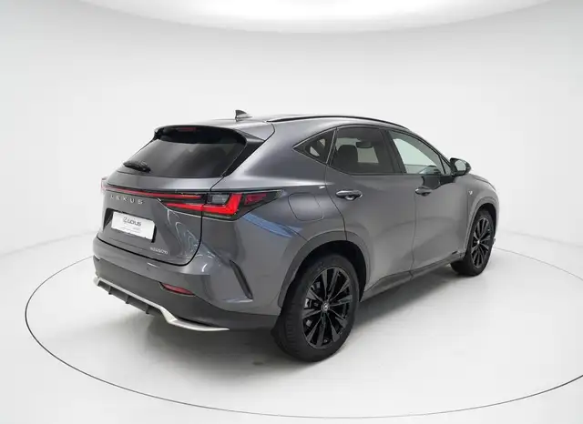 Lexus NX view 2