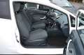 Ford Fiesta Titanium*Cool & Sound-Paket 3* Bianco - thumbnail 3