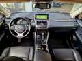 Lexus NX 300h AWD Business Line Automaat | Leer | Navi | Camera Grijs - thumbnail 6