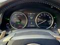 Lexus NX 300h AWD Business Line Automaat | Leer | Navi | Camera Grijs - thumbnail 22