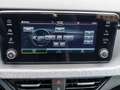 Skoda Kamiq 1,0 TSI DSG Tour Gris - thumbnail 18