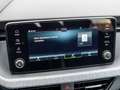 Skoda Kamiq 1,0 TSI DSG Tour Gris - thumbnail 17