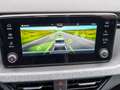 Skoda Kamiq 1,0 TSI DSG Tour Gris - thumbnail 13