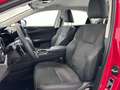 Lexus NX 200t BUSSINES CITY 4WD Rot - thumbnail 16