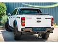 Ford Ranger Raptor Double Cabine 2.0 TDCi 213 EcoBlue BVA10 Weiß - thumbnail 16