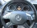 Mercedes-Benz 250 Gris - thumbnail 22