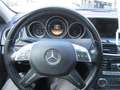 Mercedes-Benz 250 Gris - thumbnail 16