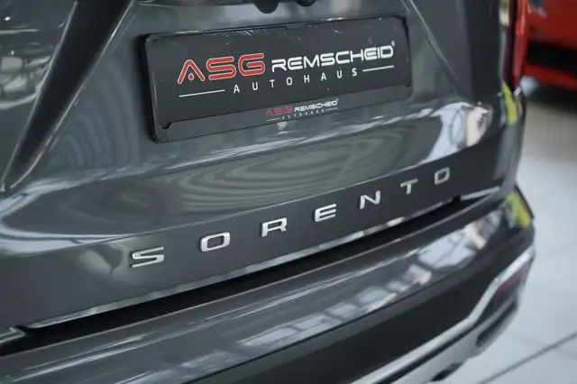 Kia Sorento view 10
