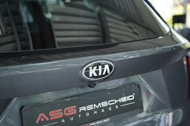 Kia Sorento view 12