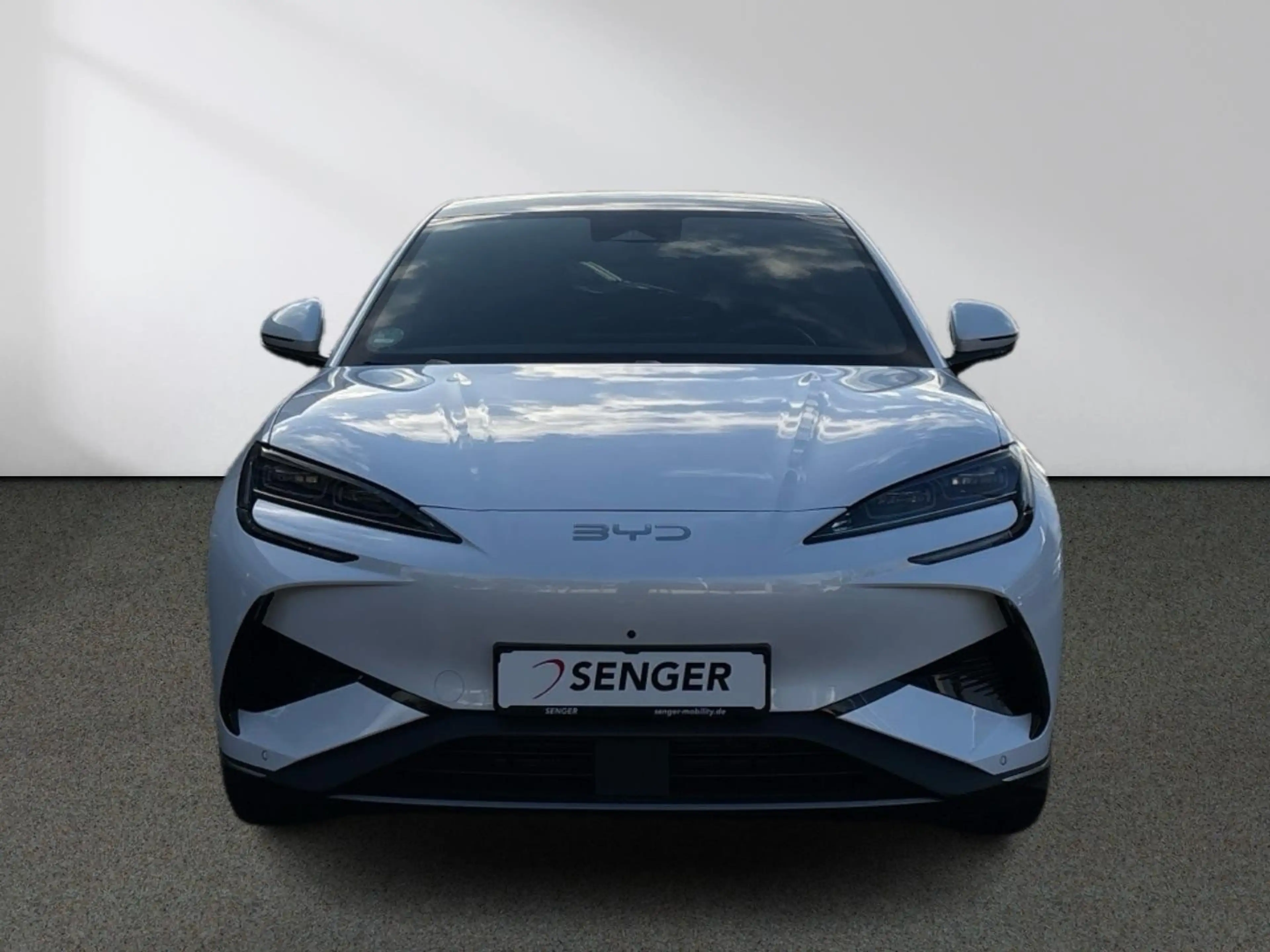 BYD Sealion 7 Design Panorama 360°-Kamera Keyless-Go — photo 4