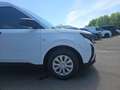 Ford Transit Courier Kasten Trend 1,0L Eboost 100PS M FWD Weiß - thumbnail 14