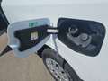 Ford Transit Courier Kasten Trend 1,0L Eboost 100PS M FWD Weiß - thumbnail 24
