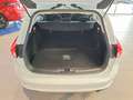 Ford Focus Turnier 1.5 EcoBoost C&C SYNC Navi SHZ RFK Wit - thumbnail 14