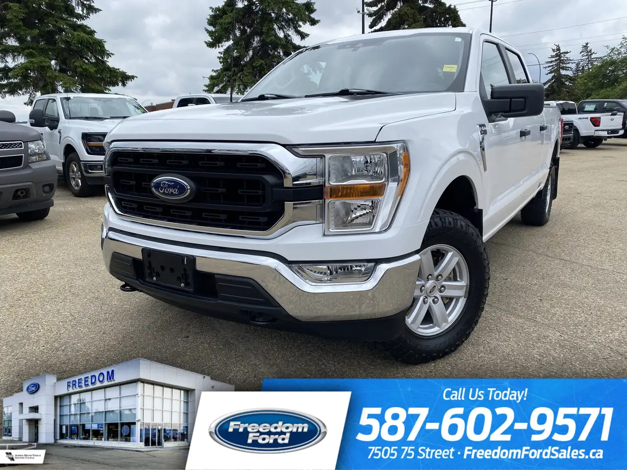 2021 Ford F 150